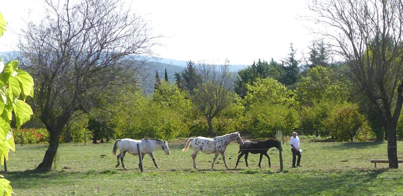 Вилла La Petite Galejade Горд Экстерьер фото